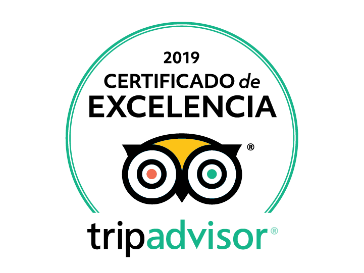 Certificado-de-excelencia-tripadvisor-amsterdam-guias.png