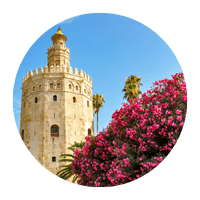 Sevilla guias & tours